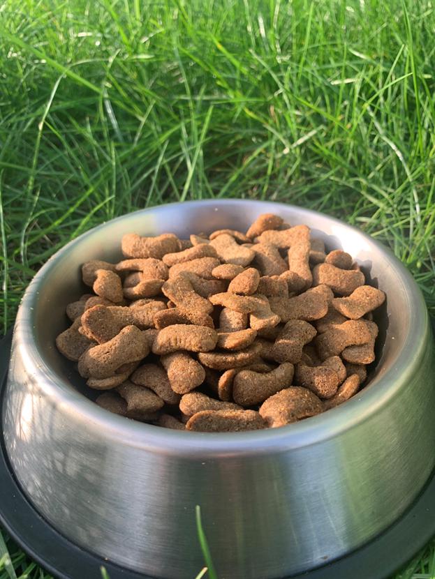 Корм сухой для собак всех пород Пан Пес Врач-А с курицей 10 кг (4820111140336) - фото 2 Корм сухой для собак всех пород Пан Пес Врач-А с курицей 10 кг (4820111140336) - фото 2