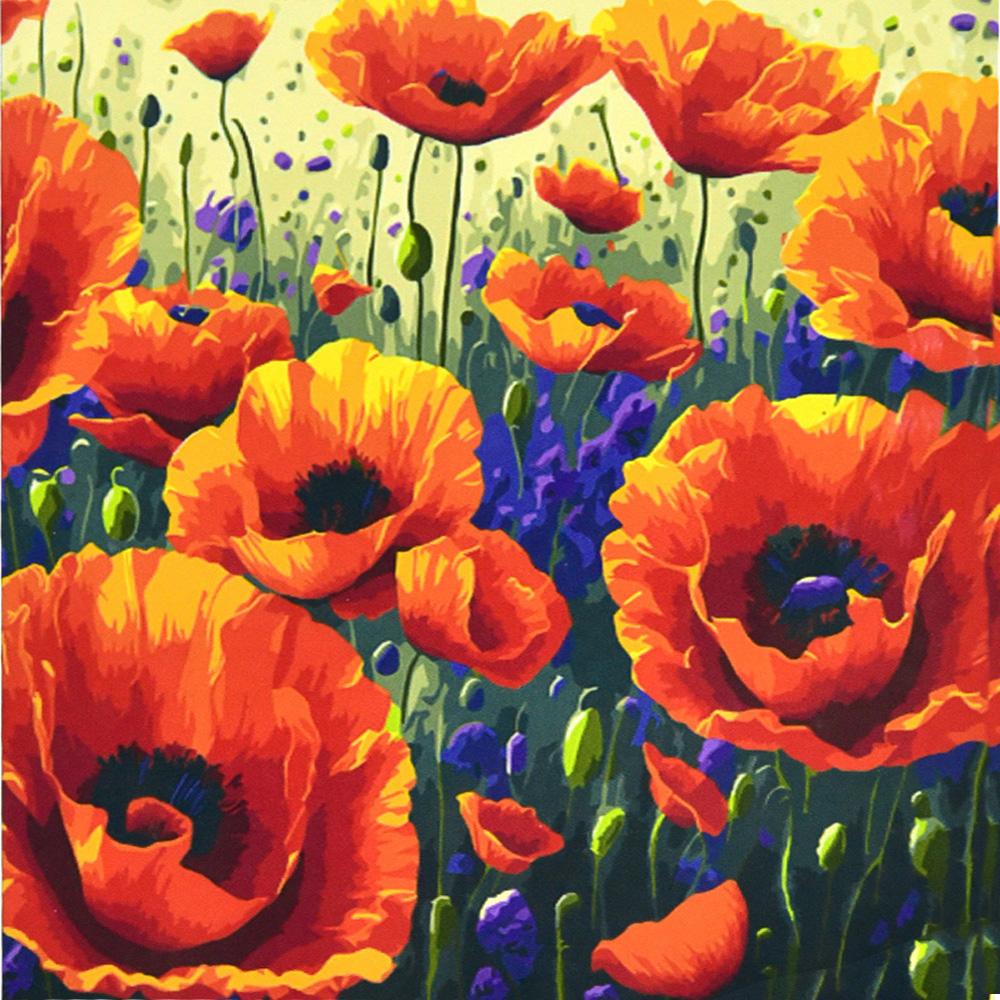 Картина по номерам Strateg Поле маков 50х50 см (AA021)