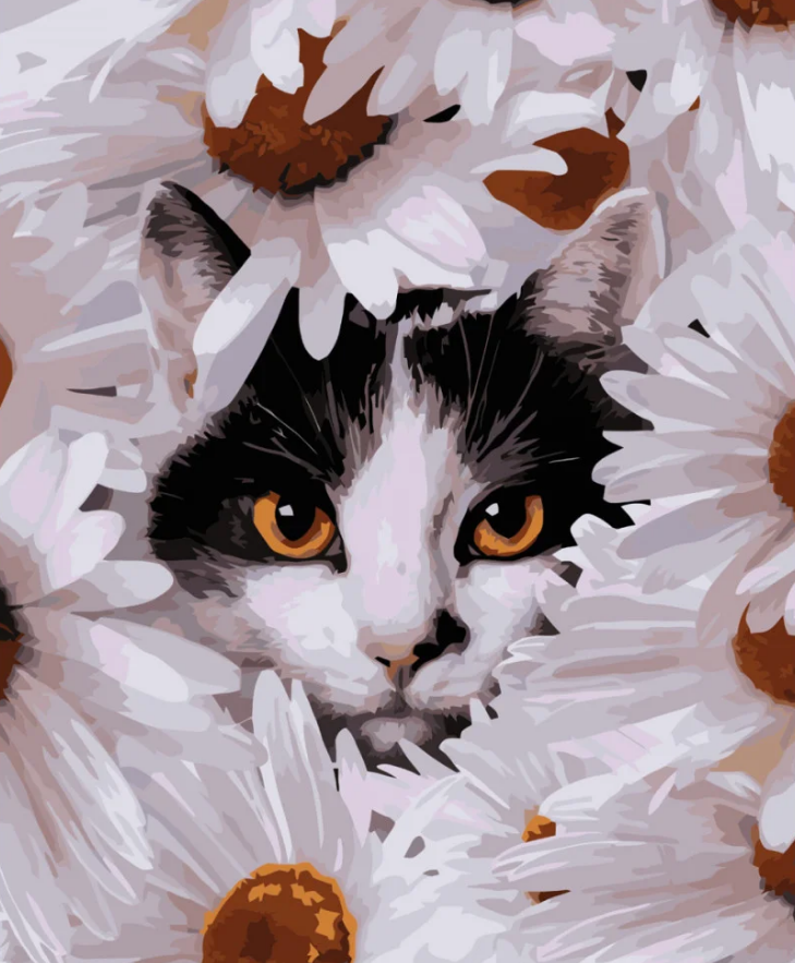 Картина по номерам Strateg Усач в ромашках 40x50 см (VA-3721)