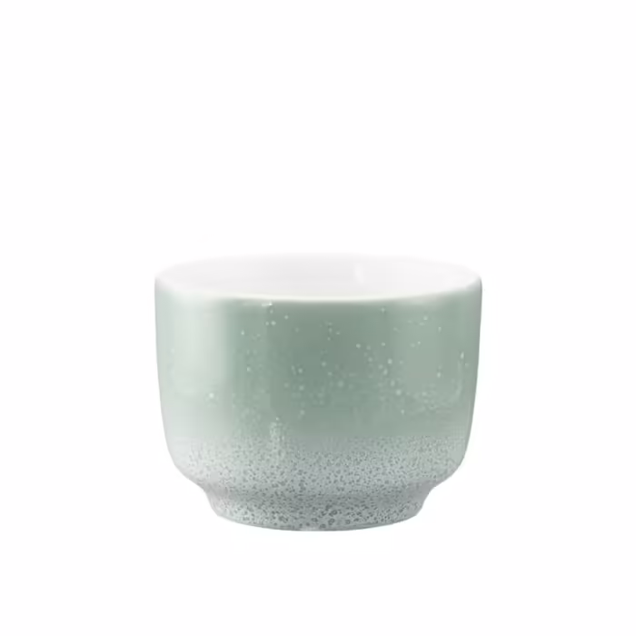 Чашка для кофе Seltmann Weiden без ручки Seltmann Weiden Sento Home Aura 210 мл Mint (2670294)