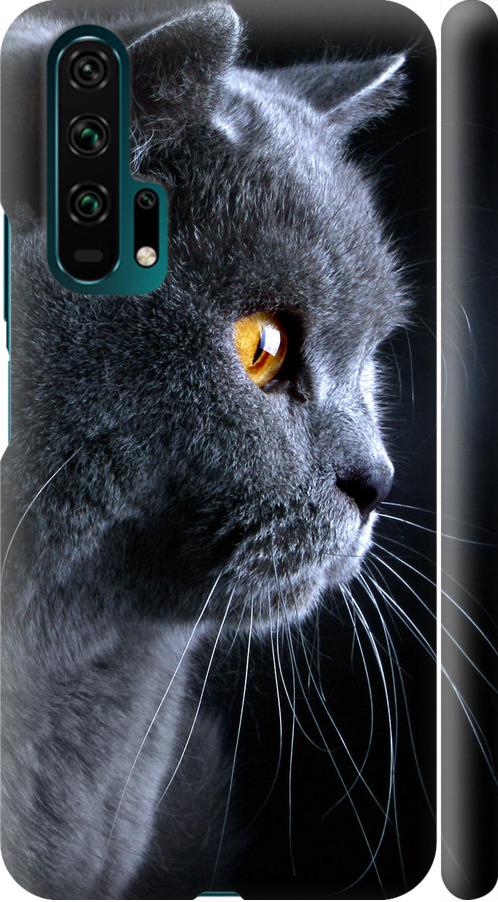 Чехол на Huawei Honor 20 Pro Красивый кот (3038m-1702-42517)