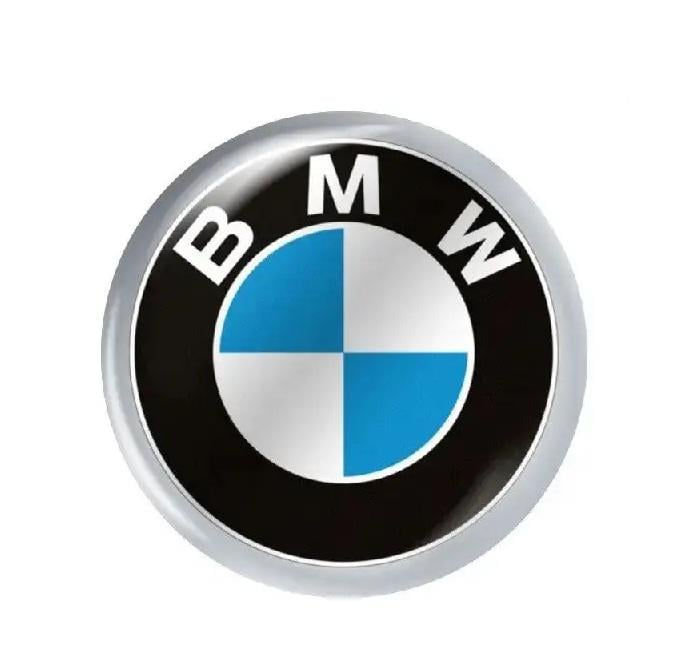 Логотип для автоключа BMW KS252 (TRE51)