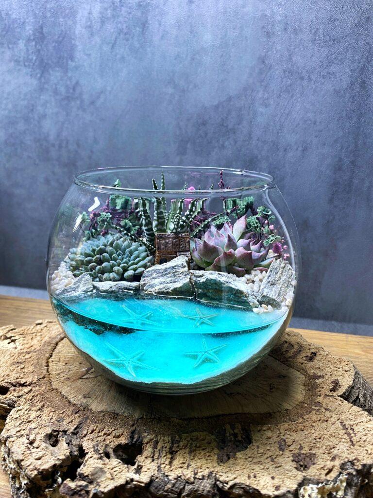 Флораріум з сукулентами та водоймою Морський D15 см Флораріум з сукулентами та водоймою Морський D15 см