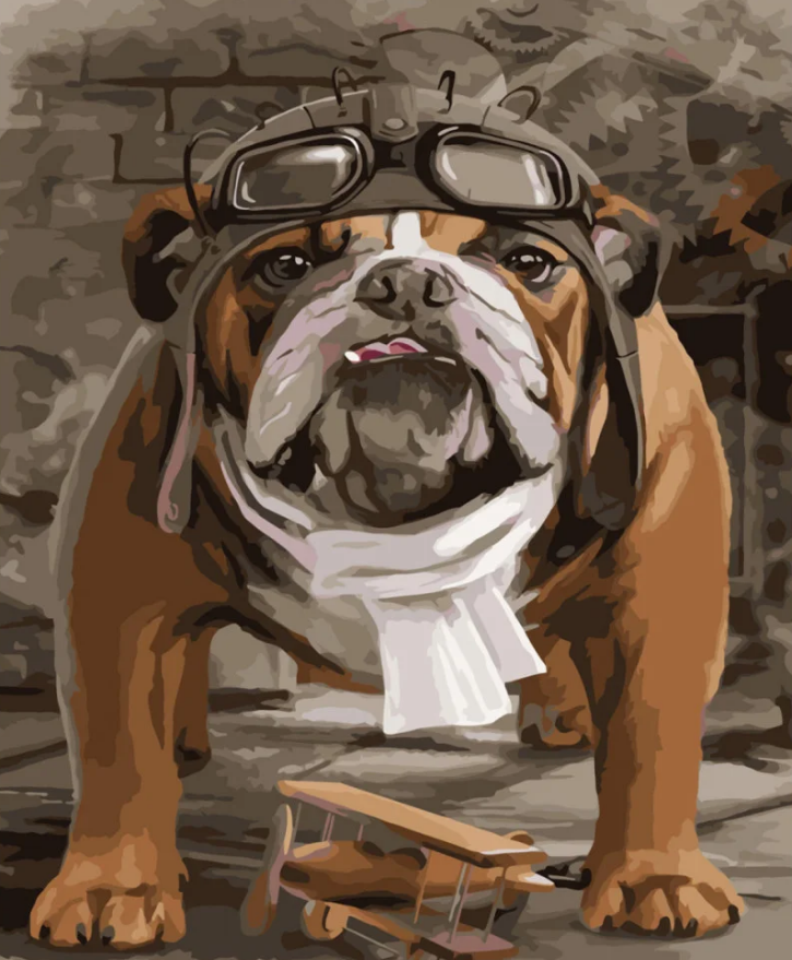 Картина по номерам Strateg Бульдог летчик 40x50 см (SY6568)