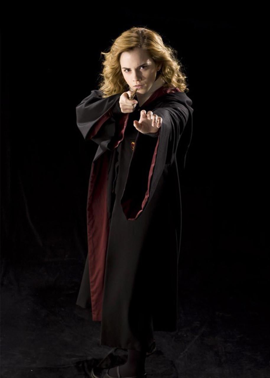 Картина GeekLand Harry Potter and Hermione 60х40 см (HP 09.049)