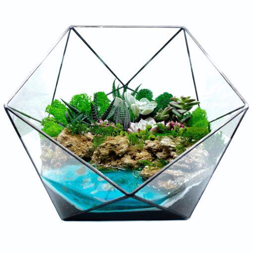 Флорариум-светлячок с суккулентами Райский уголок 26 см