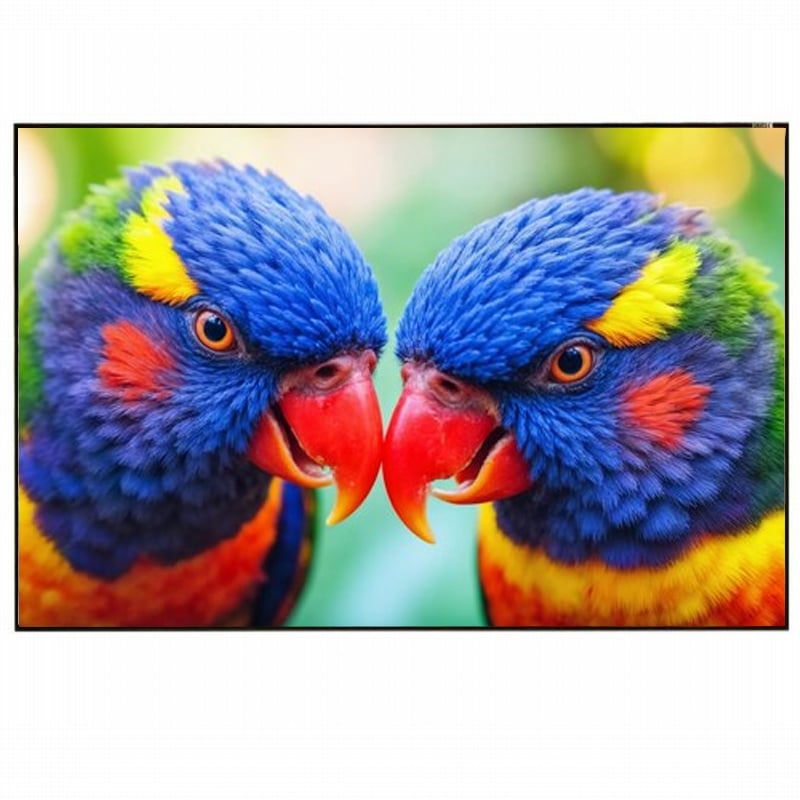 Екран для проєкторів EQUIPIFY ALR рамний настінний 203x153 см (tf2931) Екран для проєкторів EQUIPIFY ALR рамний настінний 203x153 см (tf2931)