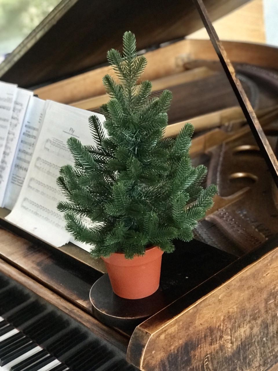 Ялинка SGH Traditional лита у горщику 50 см Зелений - фото 2 Ялинка SGH Traditional лита у горщику 50 см Зелений - фото 2