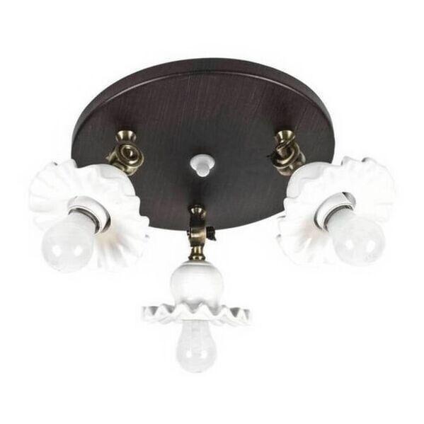 Спот Skarlat 26610 LS 1206-3K