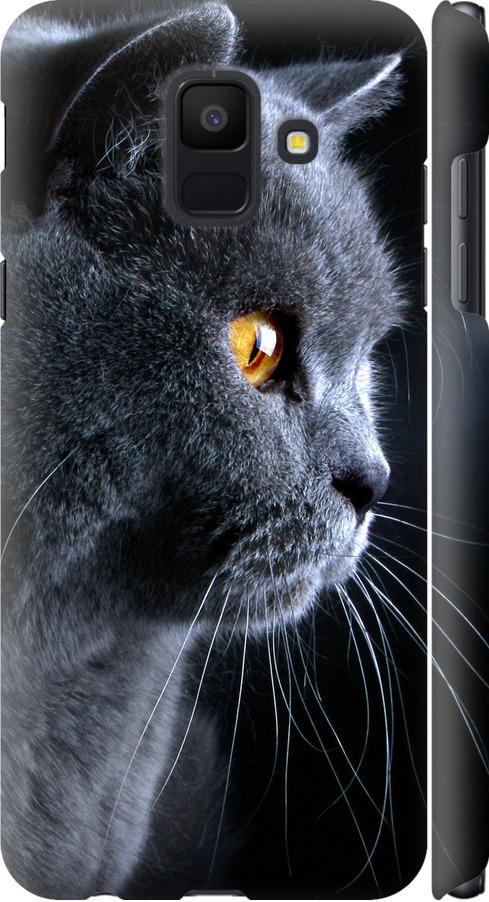 Чехол на Samsung Galaxy A6 2018 Красивый кот (3038m-1480-42517)