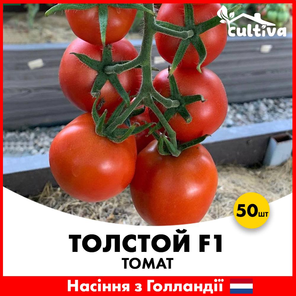 Семена томата Bejo Толстой F1 50 шт. (T1150)