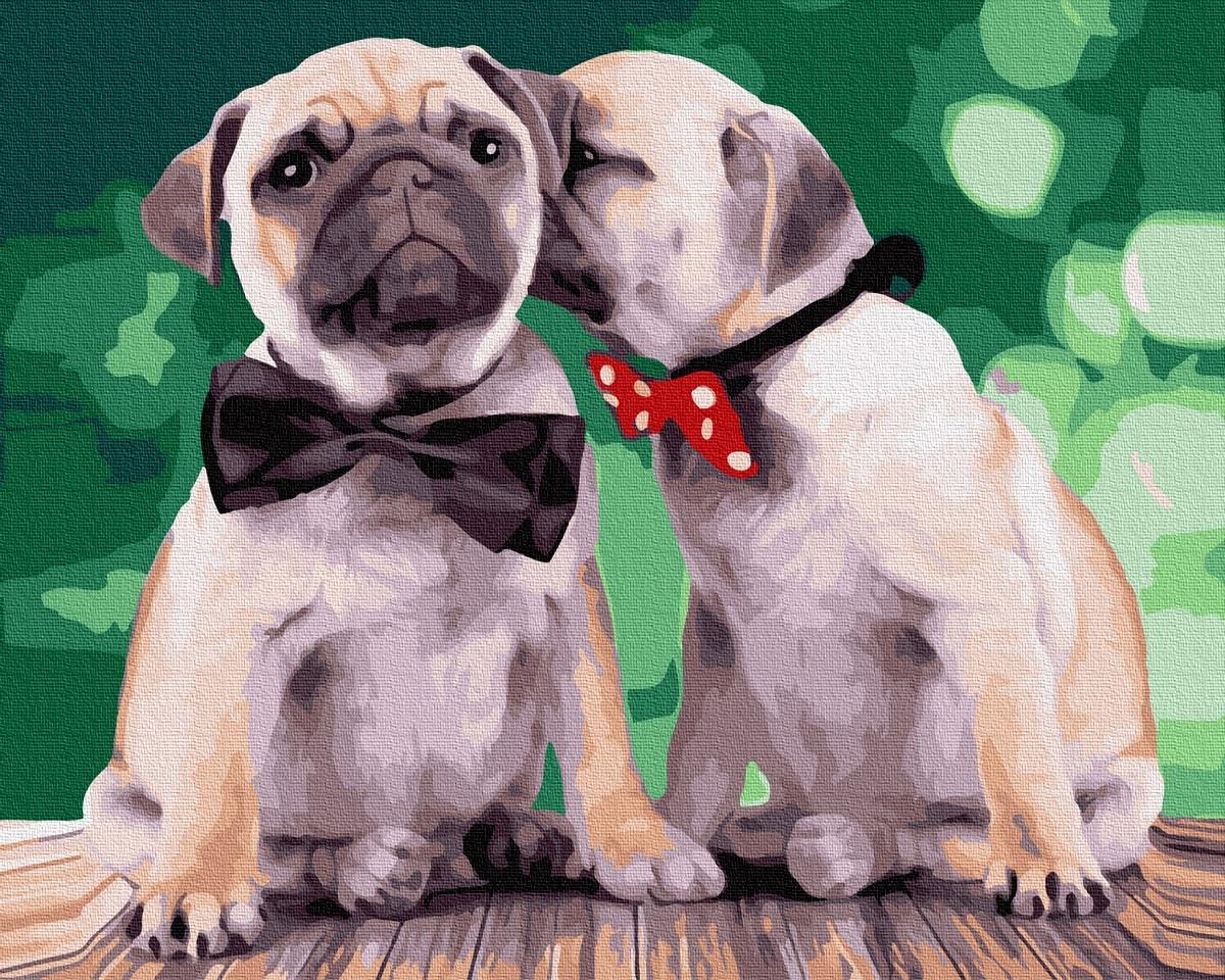 Картина по номерам Brushme GX32826 Мопсики в Бабочках 40x50 см (1316347813) Картина по номерам Brushme GX32826 Мопсики в Бабочках 40x50 см (1316347813)