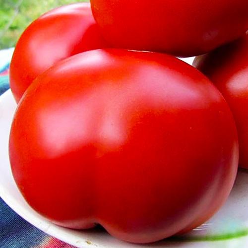 Семена Томат Florium Товстий Джек (17291)