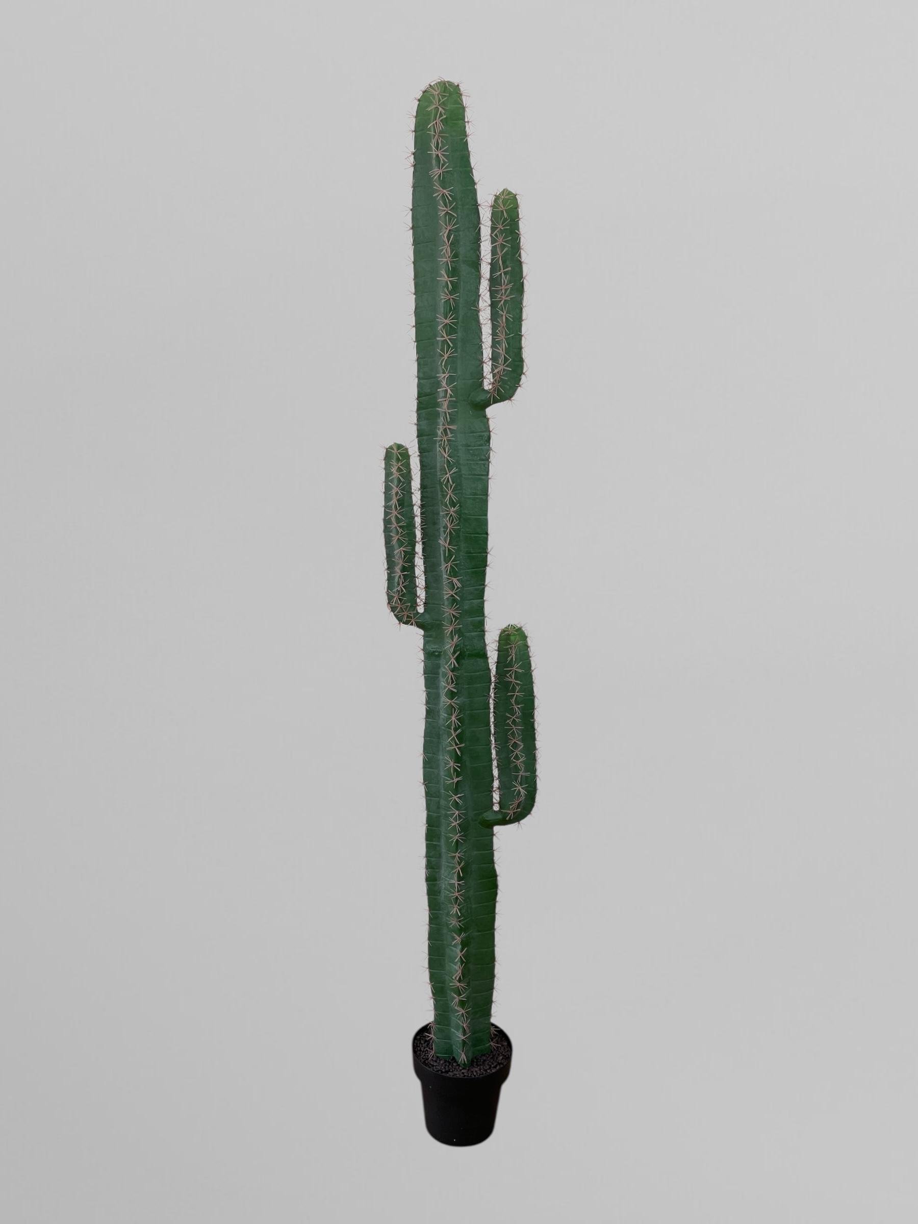 Искусственный кактус 186 см Зеленый (Р06009) Искусственный кактус 186 см Зеленый (Р06009)