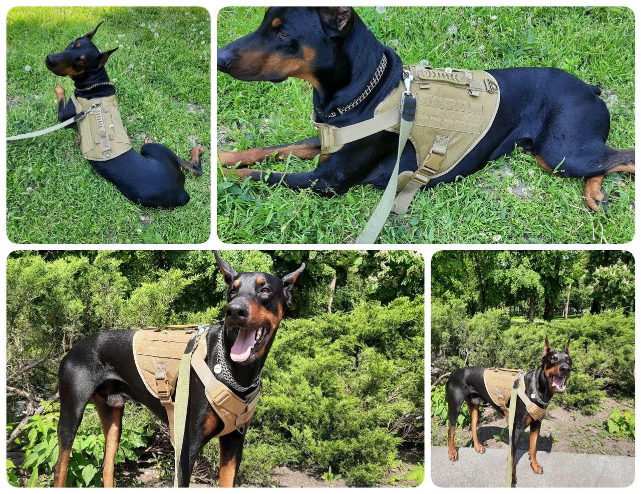 Шлея для собак Berry з ручкою S 50-78 см Коричневий (1822370294) - фото 9 Шлея для собак Berry з ручкою S 50-78 см Коричневий (1822370294) - фото 9