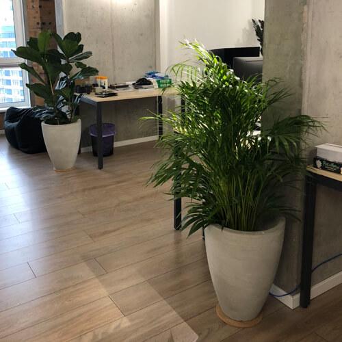 Вазон вуличний бетонний Турін 900х700 мм/132 кг/190 л (26484124) - фото 4 Вазон вуличний бетонний Турін 900х700 мм/132 кг/190 л (26484124) - фото 4