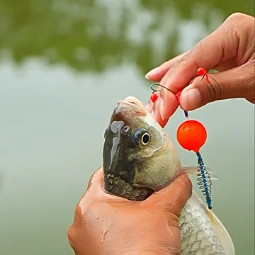 Снасть для риболовлі (G00299) - фото 9 Снасть для риболовлі (G00299) - фото 9