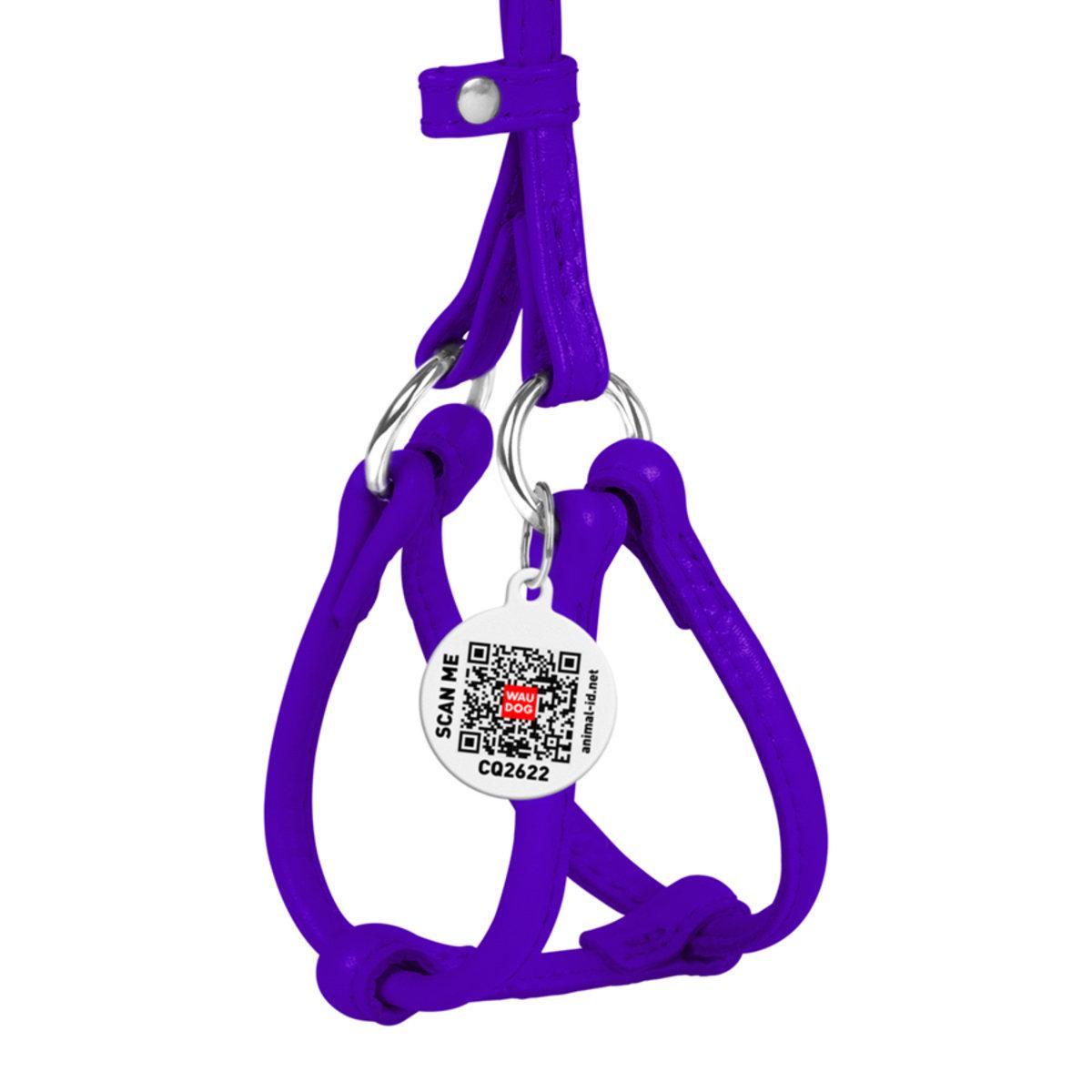 Шлея з повідцем для собак Waudog Glamour з QR паспортом/кругла/шкіряна 6 мм х 26-46 см х 30-50 см Фіолетовий (34019 Col) Шлея з повідцем для собак Waudog Glamour з QR паспортом/кругла/шкіряна 6 мм х 26-46 см х 30-50 см Фіолетовий (34019 Col)