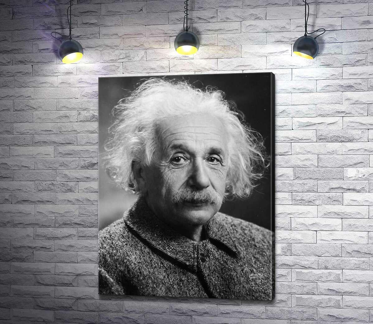 Картина ArtPoster Портрет гениального физика Альберта Эйнштейна (Albert Einstein) 98x130 см Модуль №1 (003371)