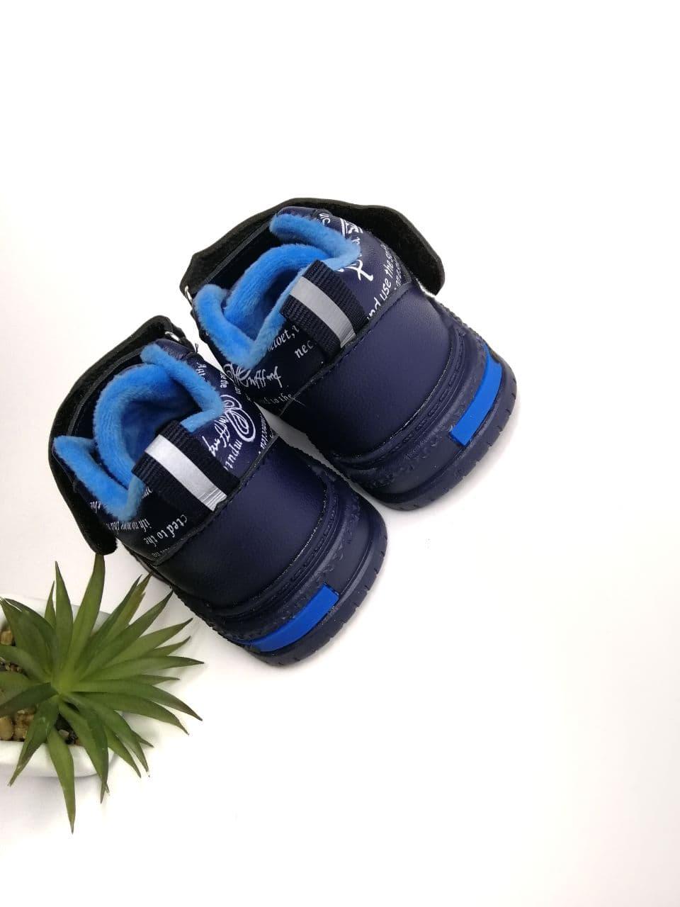 Кросівки для хлопчика Clibee р. 22 14 ,5 см Синій (209 L bl bl) - фото 5 Кросівки для хлопчика Clibee р. 22 14 ,5 см Синій (209 L bl bl) - фото 5