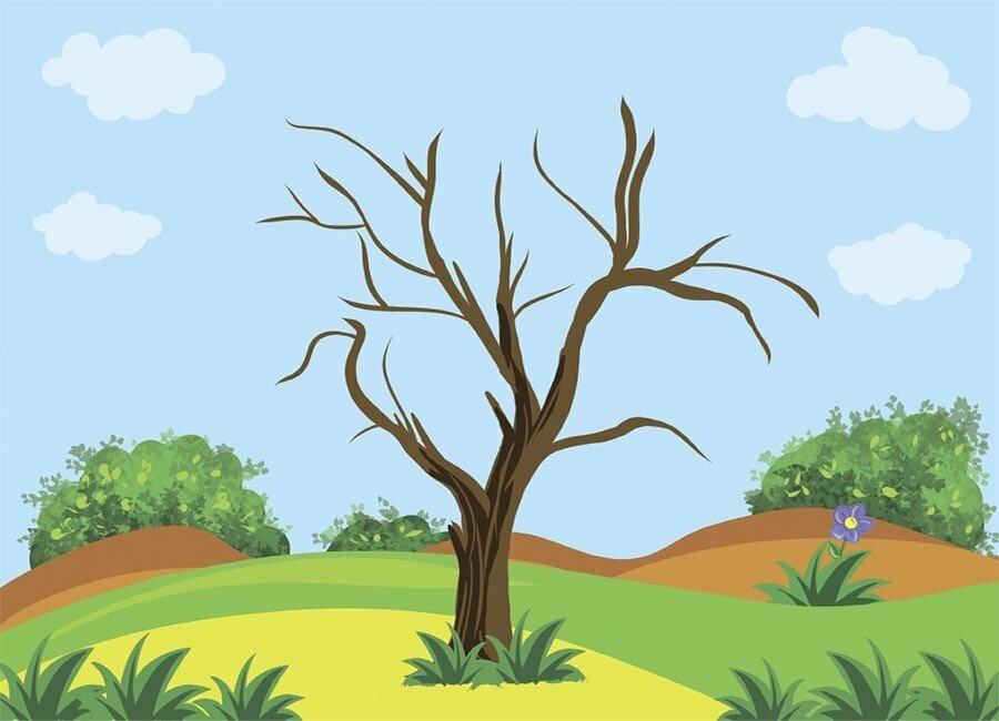 Мій альбом для малювання. 4-5 років. Основа. Юрченко Н.І. ГДШ016 (9786170042378) - фото 5 Мій альбом для малювання. 4-5 років. Основа. Юрченко Н.І. ГДШ016 (9786170042378) - фото 5