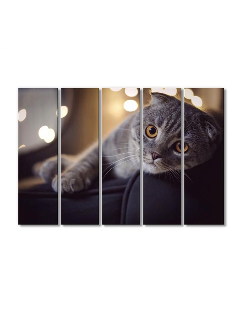 Картина модульная Серый британец 5 модулей 120x180 см