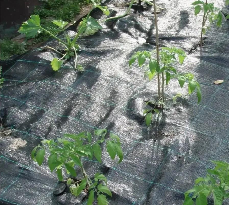 Агротекстиль для мульчування Shadow 100 г/м² 3,4х10 м Чорний (iz16434) - фото 3 Агротекстиль для мульчування Shadow 100 г/м² 3,4х10 м Чорний (iz16434) - фото 3