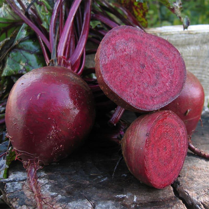 Семена Свекла Боро F1 ТД Гекса-Украина 01-19-060 50000 шт. (IR01162)