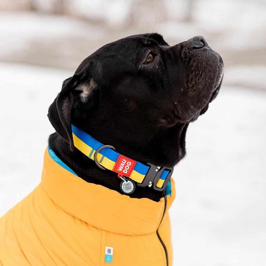 Ошейник для собак с QR-паспортом Waudog Nylon Colors of Freedom пластиковый фастекс XL 25 мм 37-58 см Yellow/Blue (4504-4020) - фото 3 Ошейник для собак с QR-паспортом Waudog Nylon Colors of Freedom пластиковый фастекс XL 25 мм 37-58 см Yellow/Blue (4504-4020) - фото 3