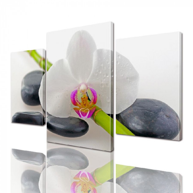 Картина модульная ArtStar Белая орхидея на камнях ADFL0016 120х180 см 3 части