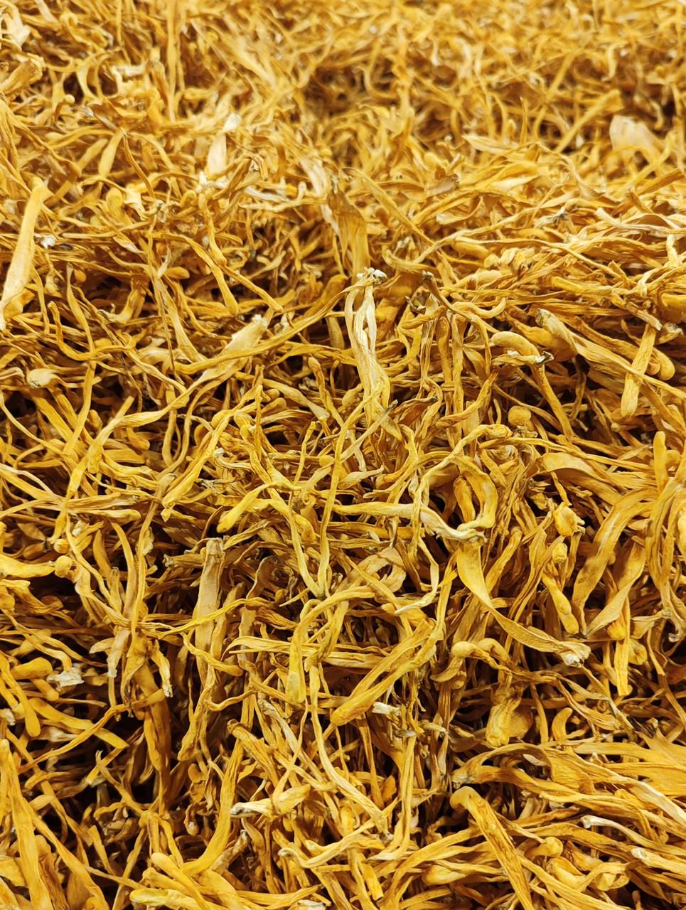 Кордицепс военный 1 кг (2191913240) - фото 3 Кордицепс военный 1 кг (2191913240) - фото 3