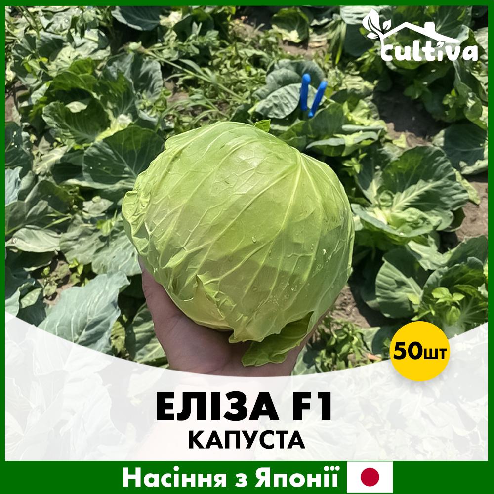 Семена капусты Sakata Белоголова Элиза F1 50 шт. (R51058_50)