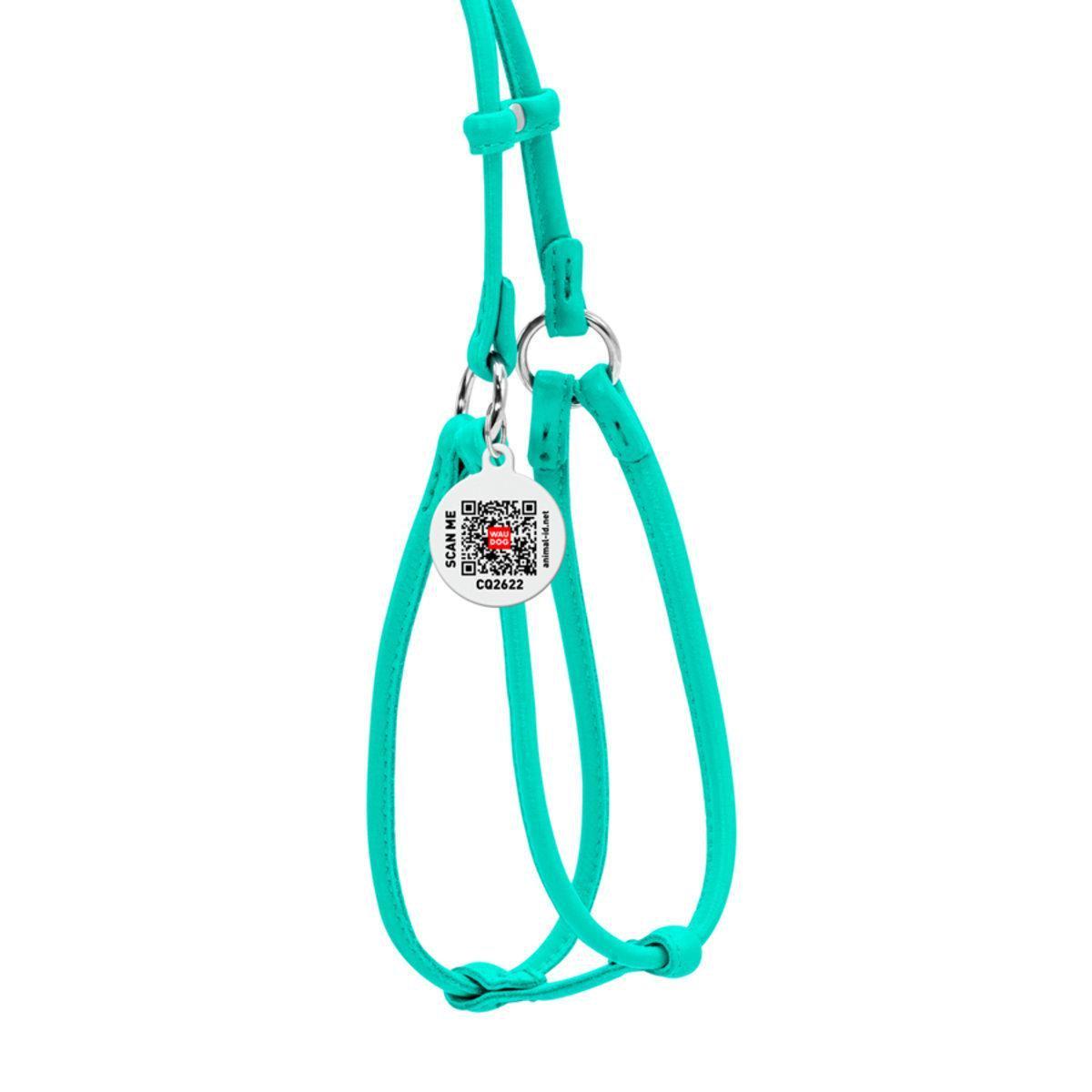 Шлея з повідцем для собак Waudog Glamour з QR паспортом/кругла/шкіряна 6 мм х 42-60 см х 46-64 см Ментоловий (340213 Col) Шлея з повідцем для собак Waudog Glamour з QR паспортом/кругла/шкіряна 6 мм х 42-60 см х 46-64 см Ментоловий (340213 Col)
