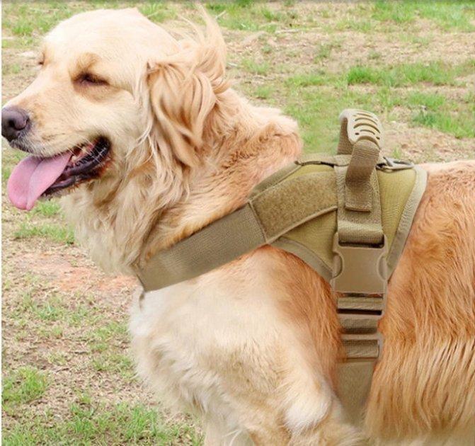 Шлея для собак Harness с ручкой S 50-65 см Коричневый (1452215137) - фото 2 Шлея для собак Harness с ручкой S 50-65 см Коричневый (1452215137) - фото 2