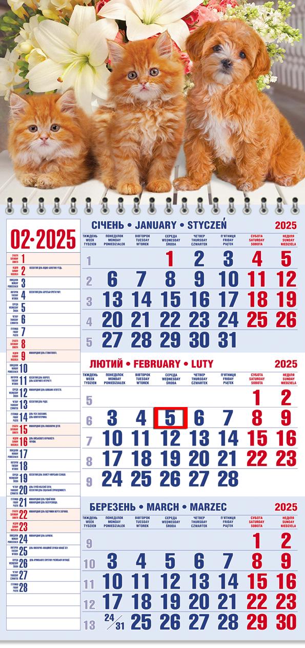 Календар на 2025 р. Офісний 1 Руда трійка