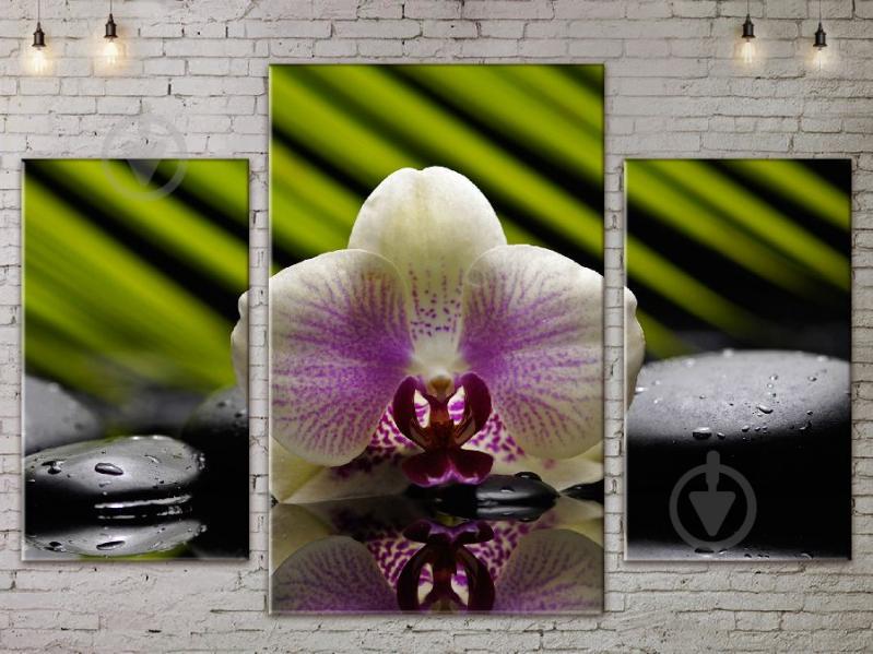 Модульная картина ArtStar цветы Орхидея ADFL0079 размер 120 х 180 см
