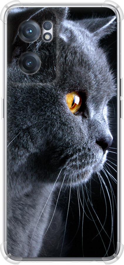 Чехол на OnePlus Nord CE 2 Красивый кот (3038sp-2589-42517)