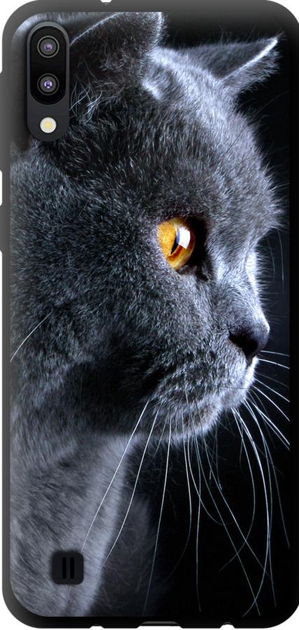 Чехол на Samsung Galaxy M10 Красивый кот (3038b-1661-42517)