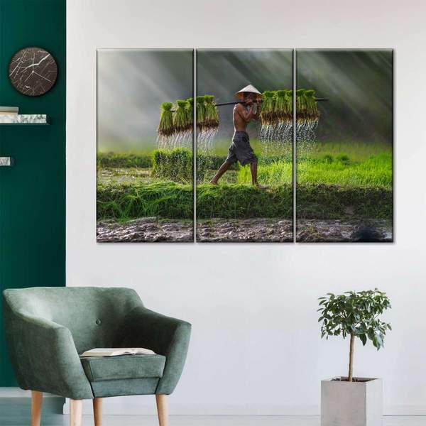 Модульная картина KIL Art Азиатский крестьянин из трех частей 78x48 см (M3_M_47)