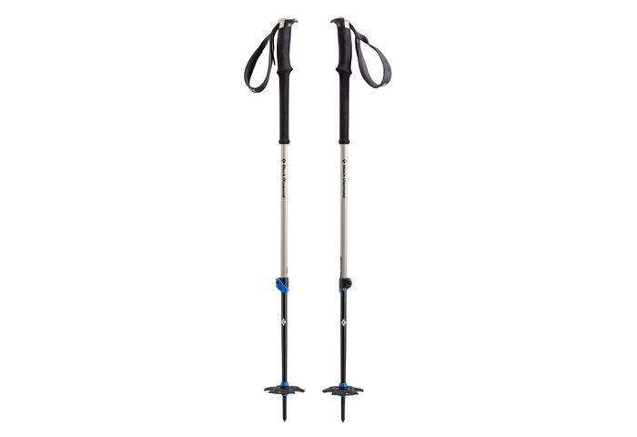 Лыжные палки Black Diamond Expedition 2 155 Черный/Серый (1033-BD 111544-155)