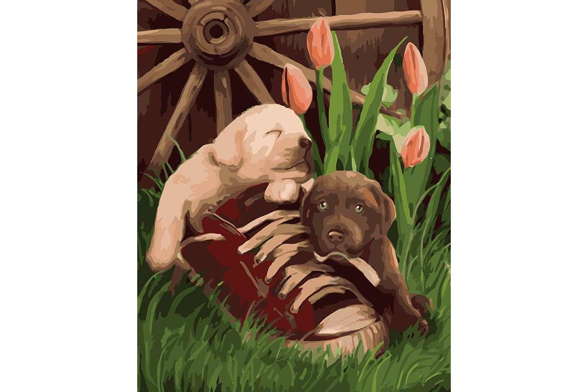 Картина по номерам Идейка Наигрались 40x50 см (skl-КНО4102)