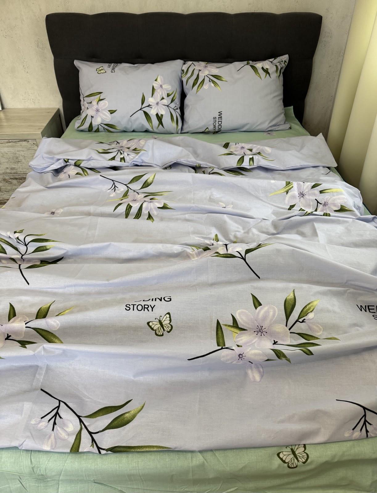 Комплект постільної білизни Аріва бавовняний євро 200х220/70х70 см Сірий (26527963)