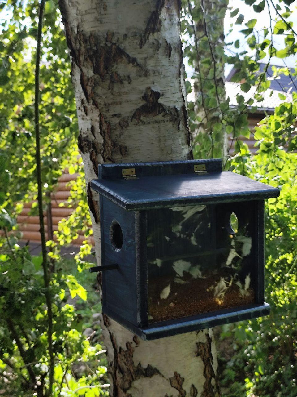 Годівниця для птахів Заплутанка бункерного типу із соснової деревини 30х30х17 см Синій - фото 7