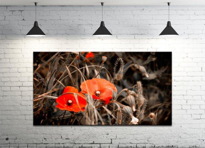 Картина на холсте DK Маки 50х100 см (DKP50100-c564)