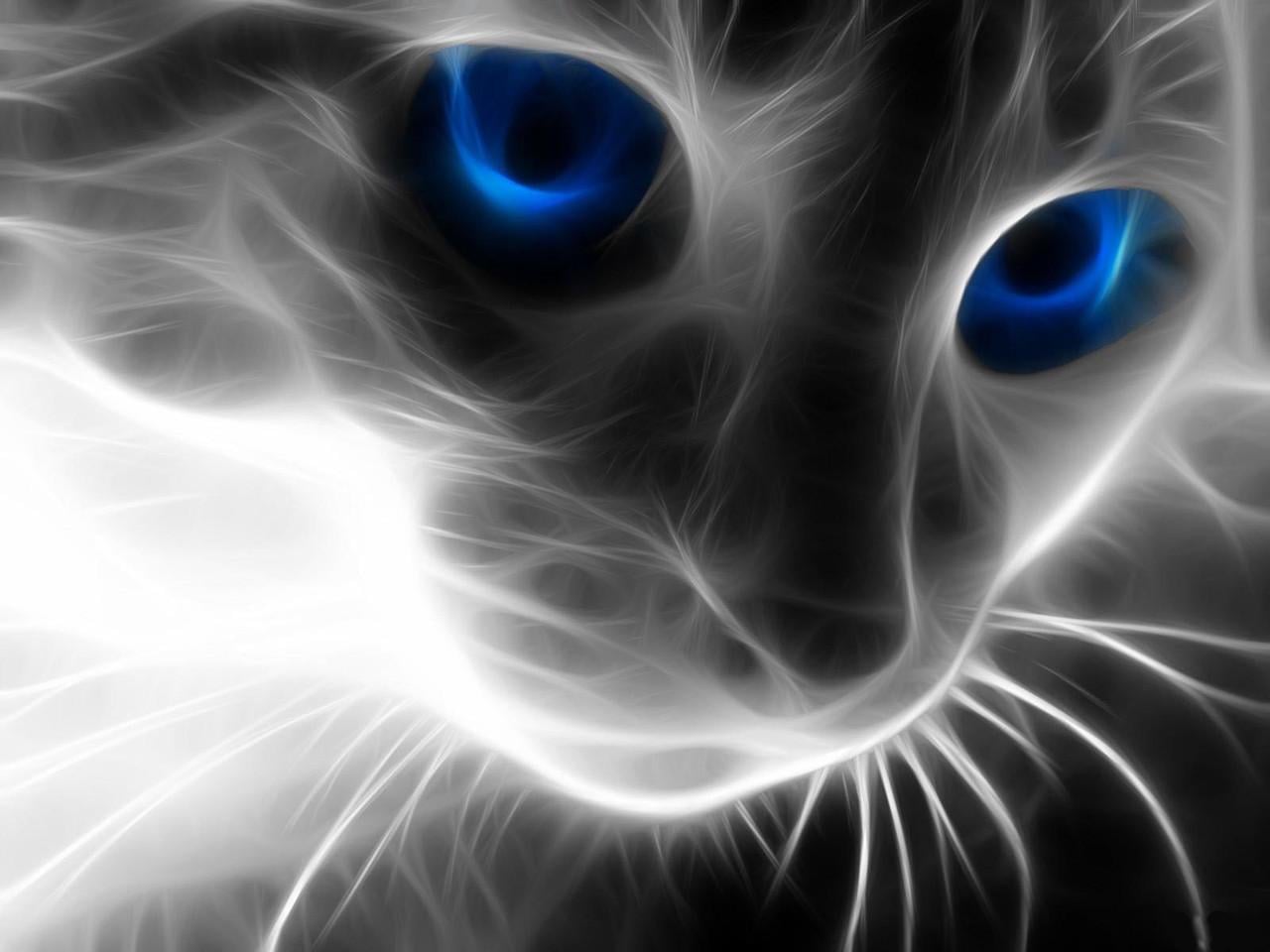 Алмазная мозаика на подрамнике Холодный взгляд 40х30 (DM.001-pdr)