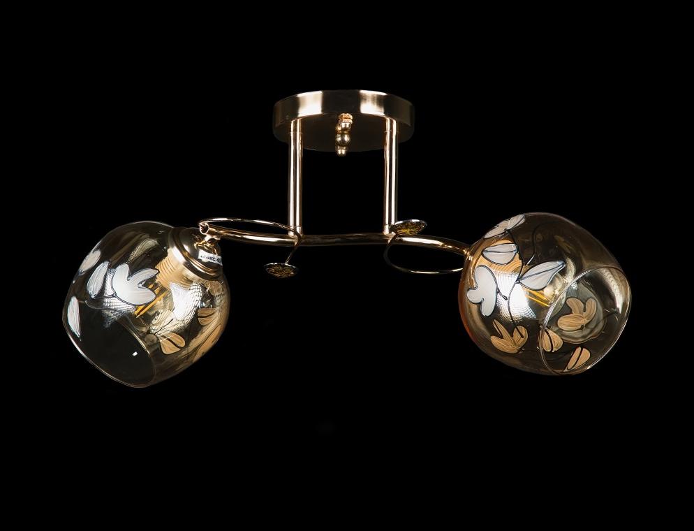 Люстра с плафонами Splendid Ray (L7398A/2 FGD)