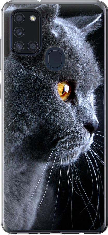 Чехол на Samsung Galaxy A21s A217F Красивый кот (3038u-1943-42517)