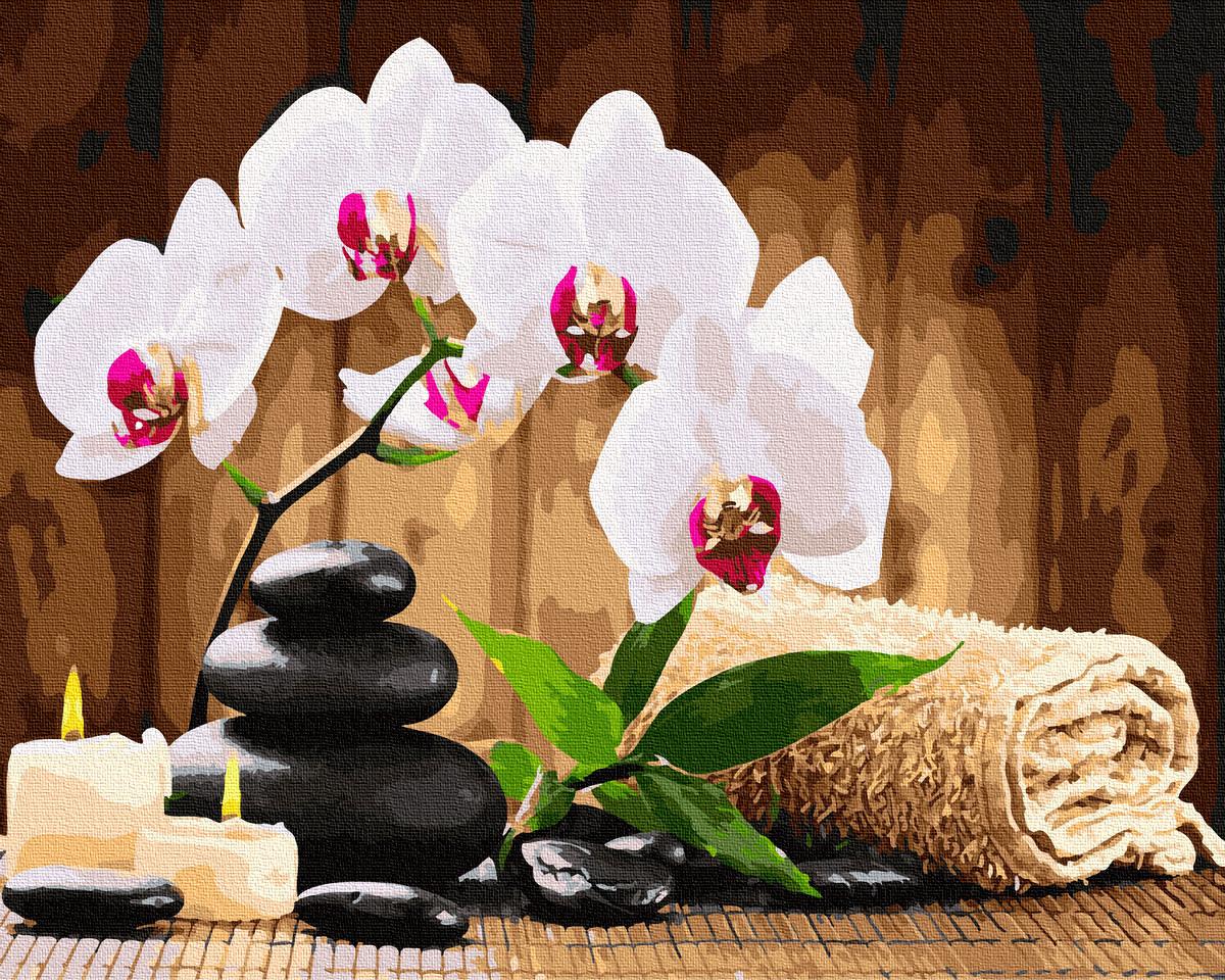 Картина по номерам Brushme В стиле СПА 40x50 см без коробки (BK-GX4440)