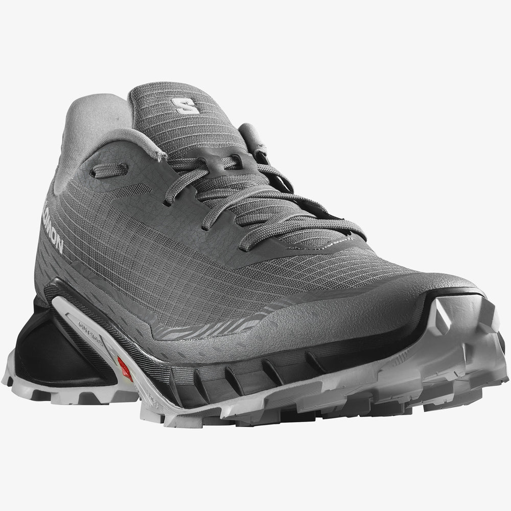 Кроссовки мужские Salomon Alphacross 5 р. 43 (473133)