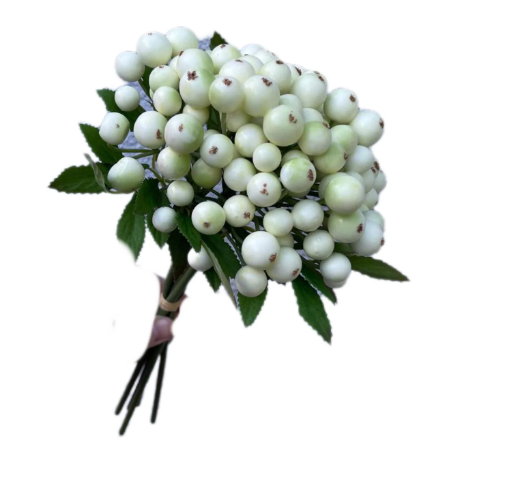 Ягоды искусственные букет Бело-зеленый (0270)
